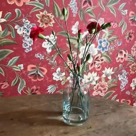 ベッド・アンド・ブレックファスト Matin Ja Maijan Majatalo ハメーンリンナ