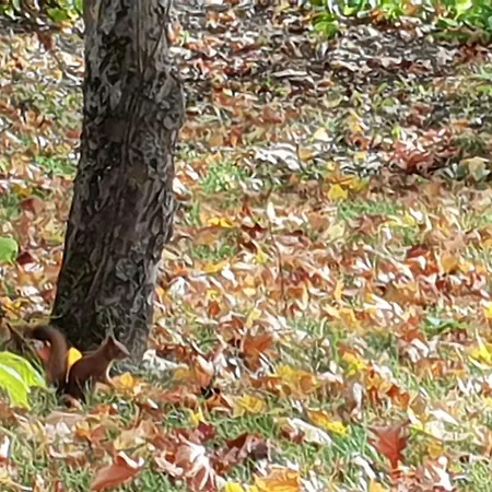 Matin Ja Maijan Majatalo ベッド・アンド・ブレックファスト