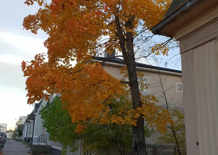 Matin Ja Maijan Majatalo